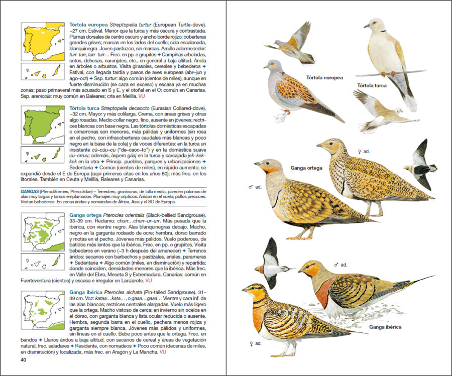 Página de muestra de Aves de España